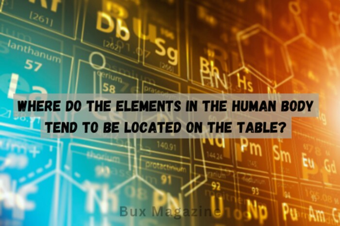 Where do the elements in the human body tend to be located on the table