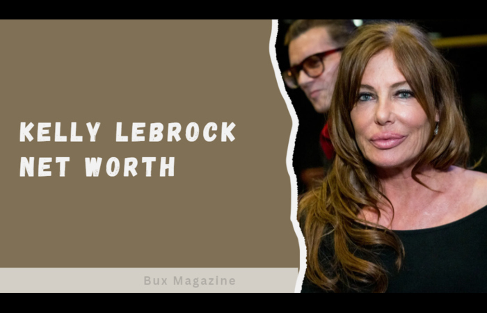 Kelly Lebrock net worth 2023