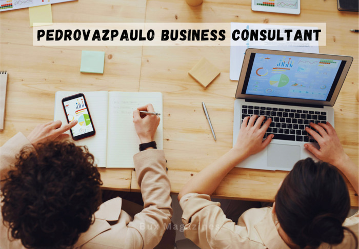 Pedrovazpaulo Business Consultant