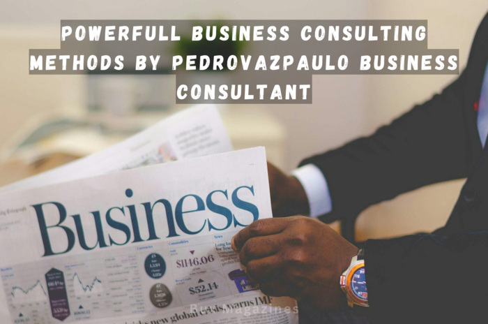 Pedrovazpaulo Business Consultant