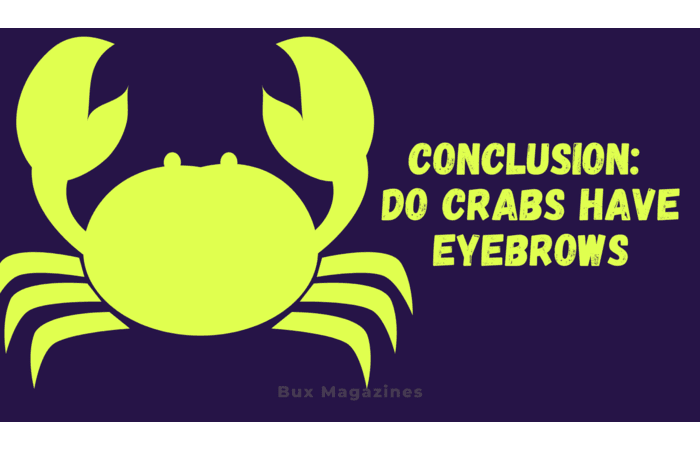 Do crabs have eyebrows