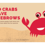 Do crabs have eyebrows