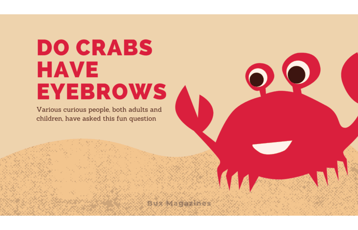 Do crabs have eyebrows